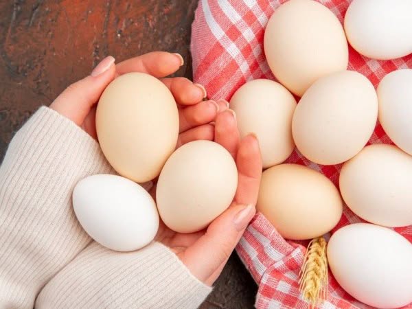 Способ как отличить искусственные яйца от настоящих