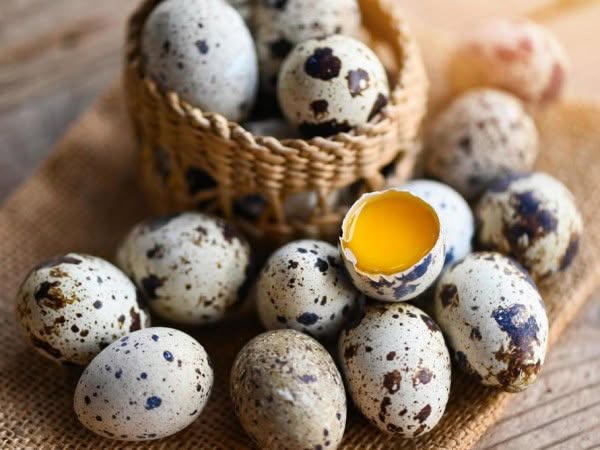 Перепелиные яйца обязательно должны быть на вашем столе