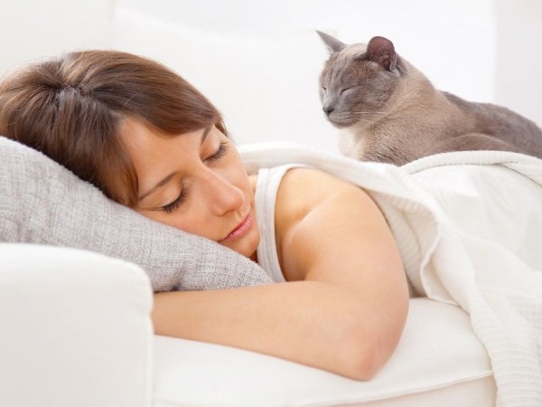 Полезно ли спать с домашними животными